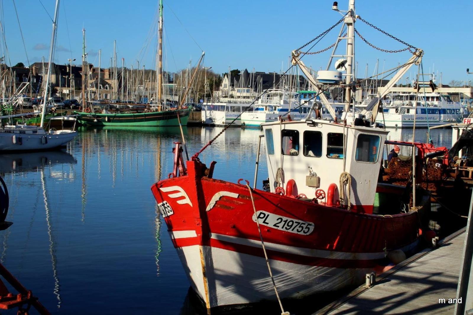 Gite Paimpol Le Loarwenn ภายนอก รูปภาพ